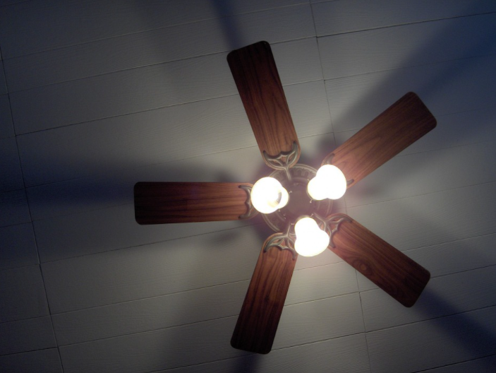 Smart Ceiling Fans